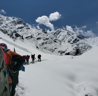 A group of hikers is trekking through a snowy mountainous landscape under a clear blue sky. The snow-covered mountains loom majestically in the background, while the hikers wear colorful gear and carry backpacks. The scene suggests a challenging and adventurous journey through pristine, untouched nature.